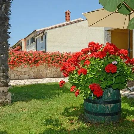 Studio Pataj Apartamento